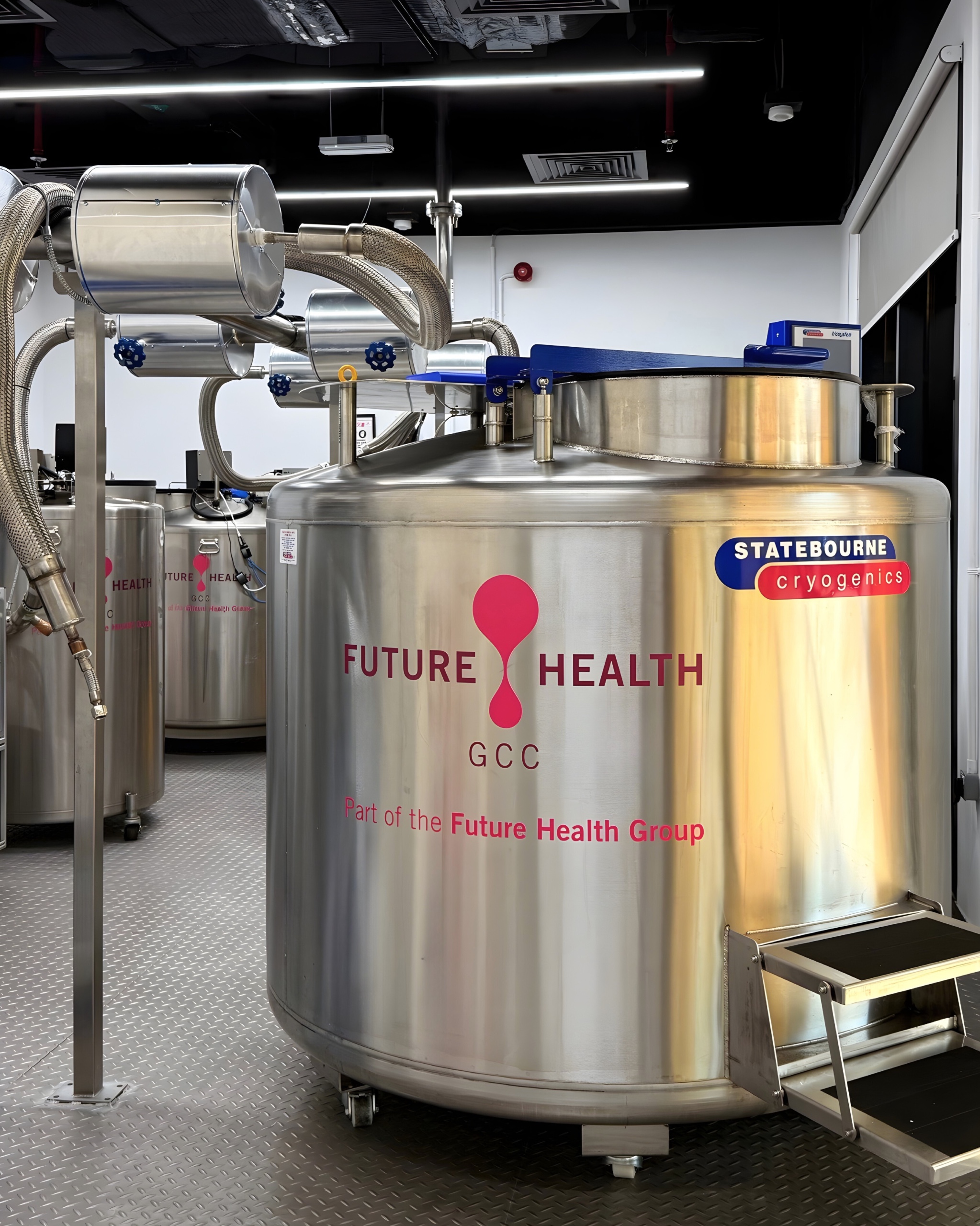 e377fe11-b4e3-498a-855c-417193a9de70